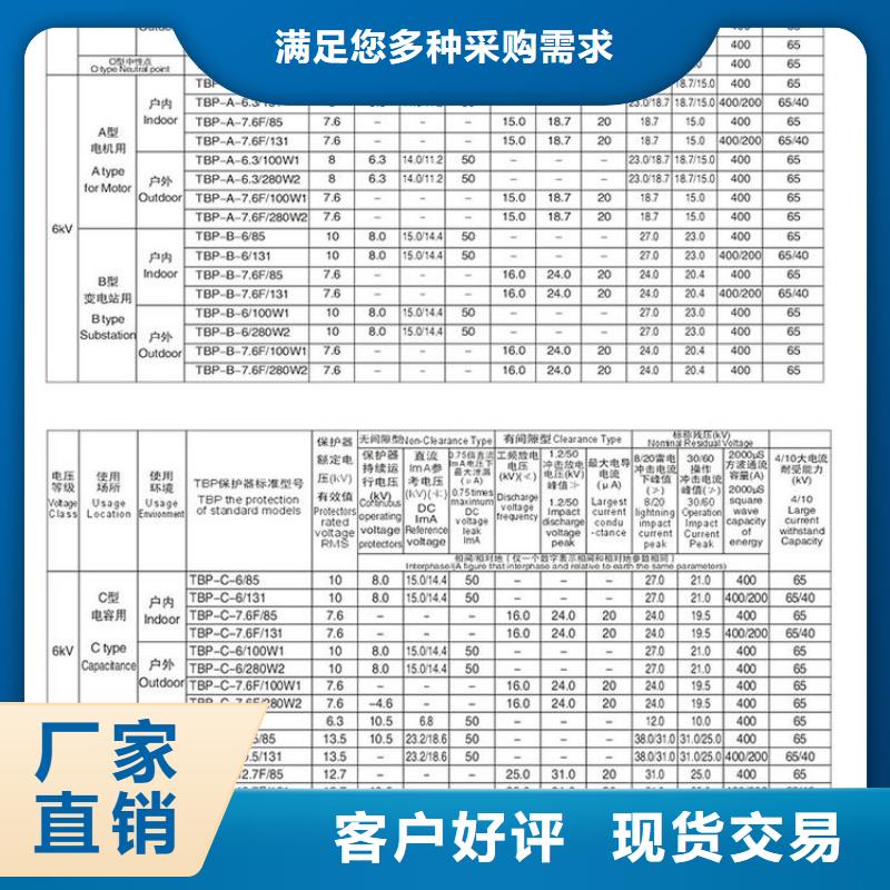 【过电压保护器】TBP-A-6.3/85-J