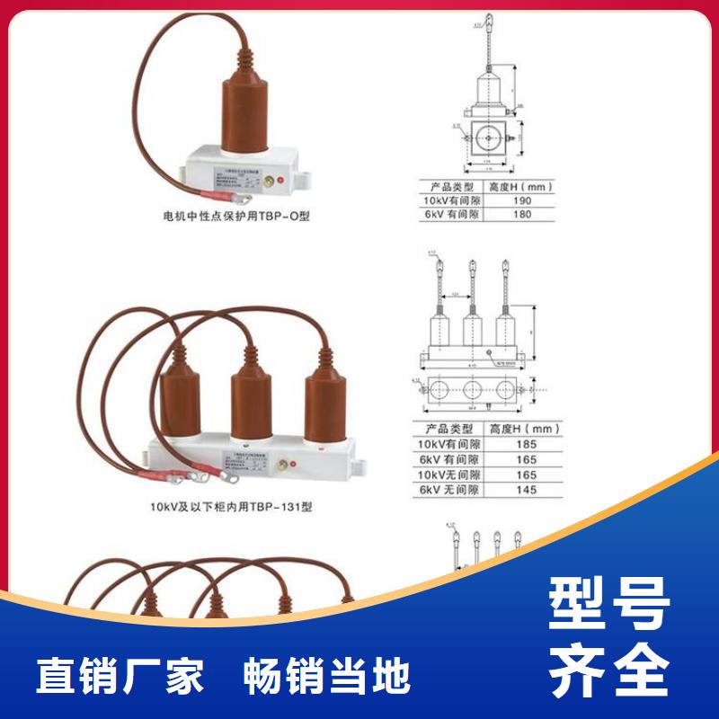 【过电压保护器】TBP-A-6.3/85-J