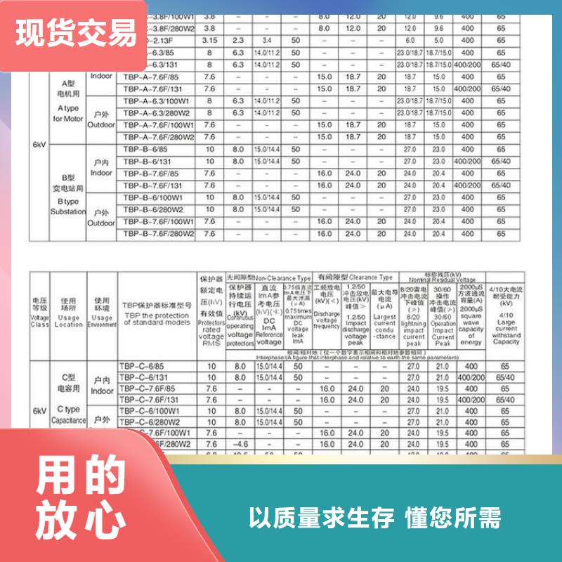 【避雷器】YH5CZ-7.6/22*2