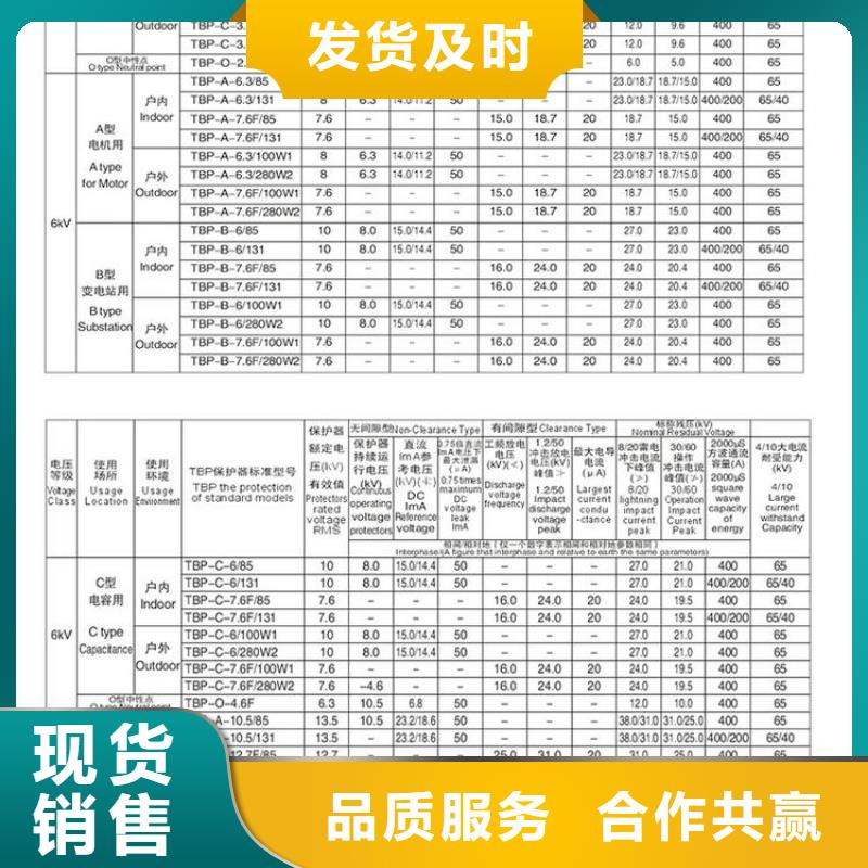 【过电压保护器】TBP-A-6.3/85-J