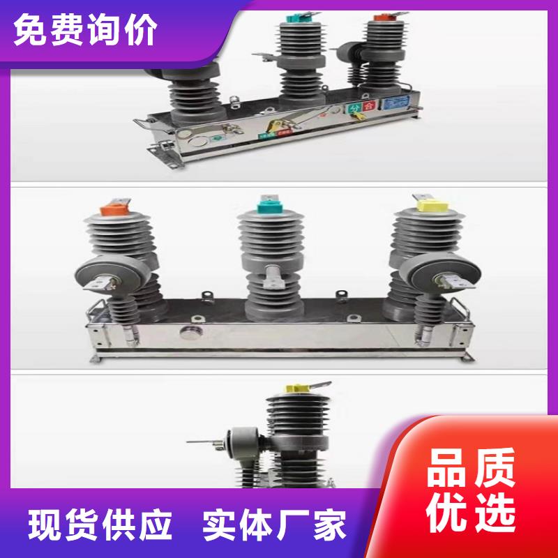 【真空断路器】ZW32-12G/T630-20