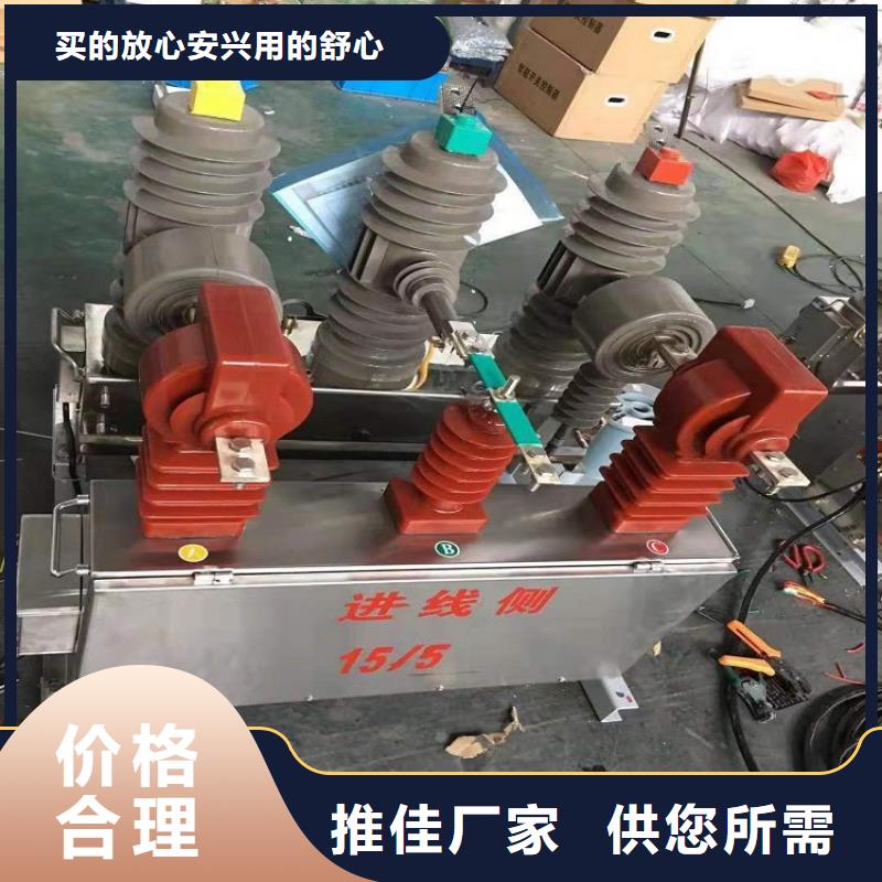 【真空断路器】ZW32-12G/T630-20