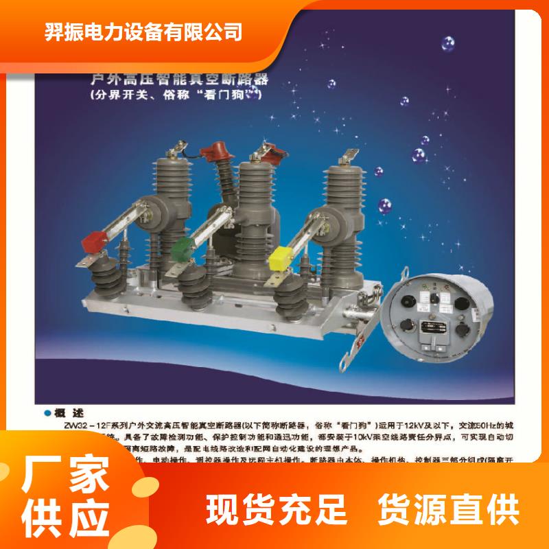 【真空断路器】ZW32-12G/T630-20