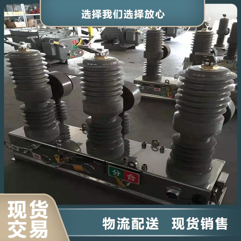 【真空断路器】ZW32-12G/T630-20
