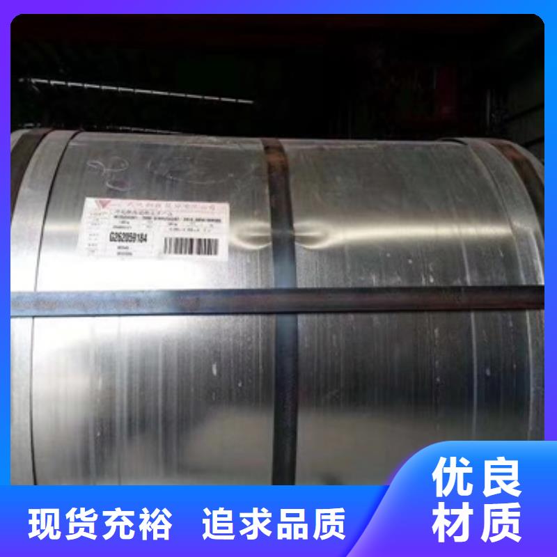 50PN310电机铁芯