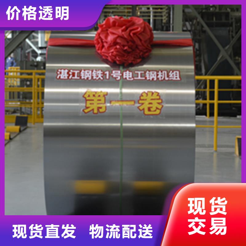 GT100	0.1*280*C	日金极薄硅钢片