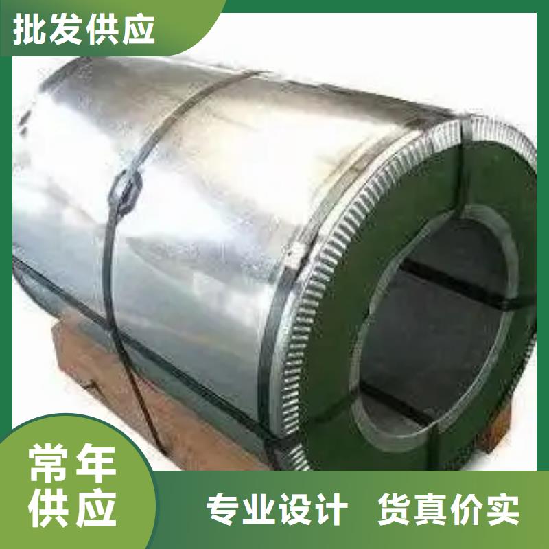 压缩机用硅钢	ST100
