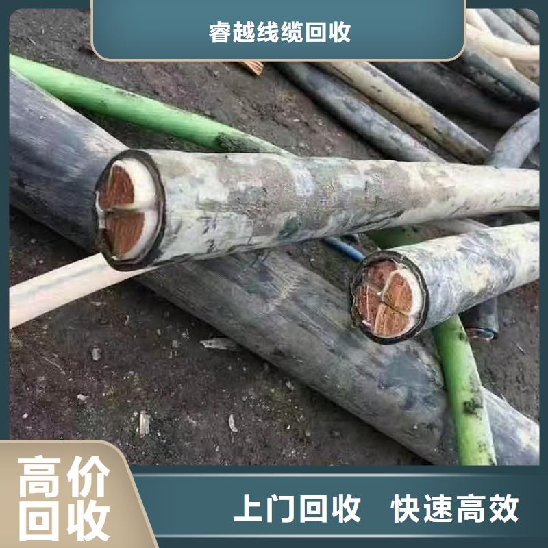 选购电力电缆回收【无中间商】