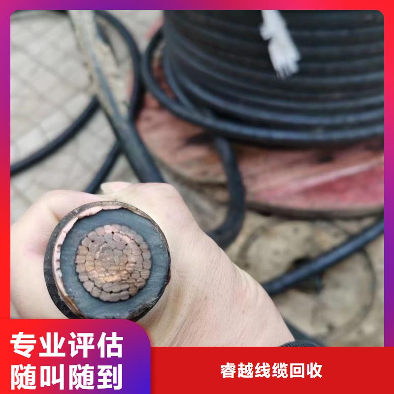 选购电力电缆回收【无中间商】