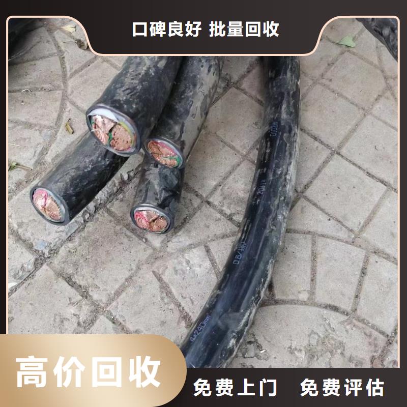 选购电力电缆回收【无中间商】