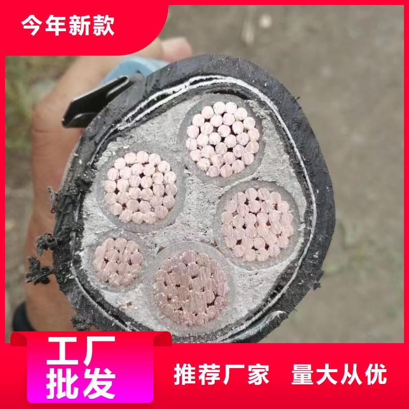 低压电缆回收价格行情可随时发货