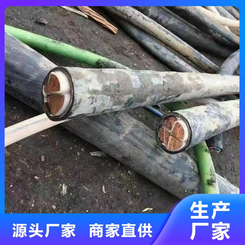 哪里回收电缆-信誉可靠