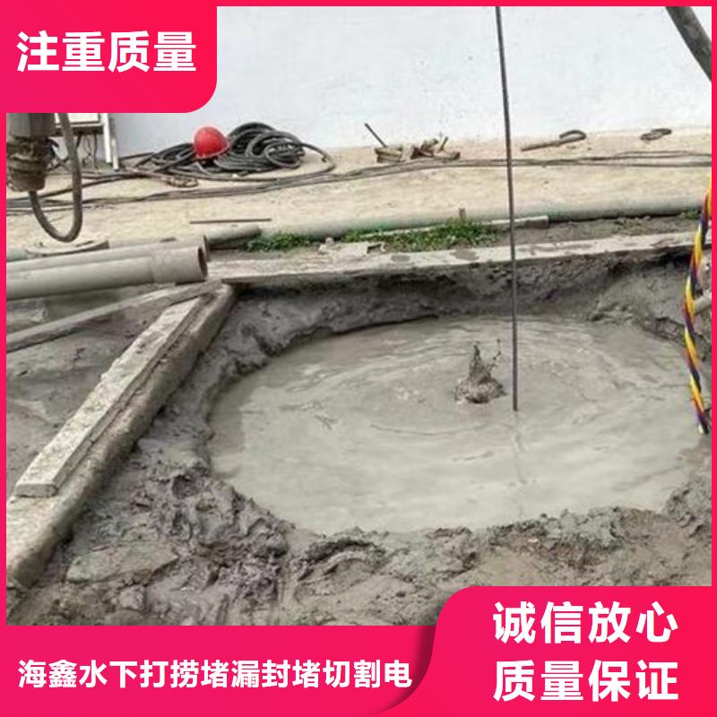 仙居市潜水打捞-水下安装施工价格