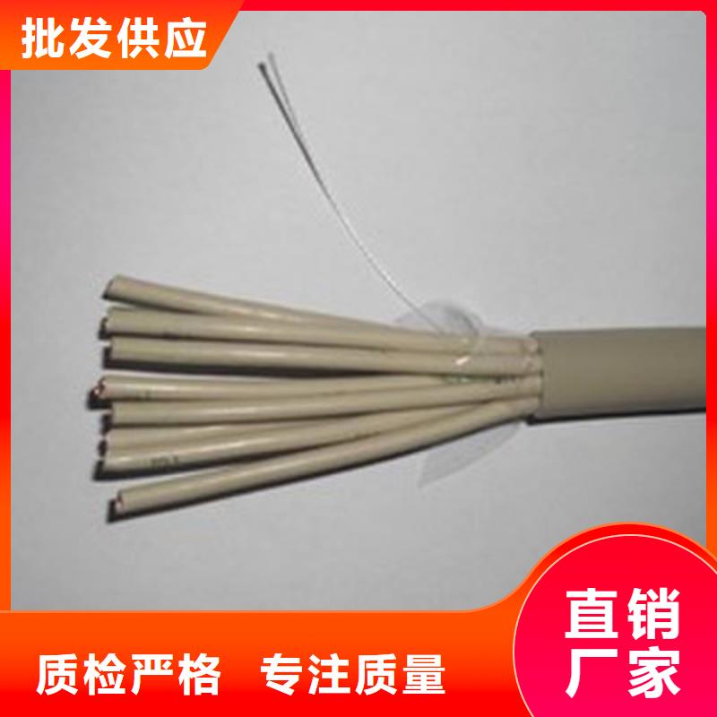 实力雄厚的屏蔽双绞线厂家