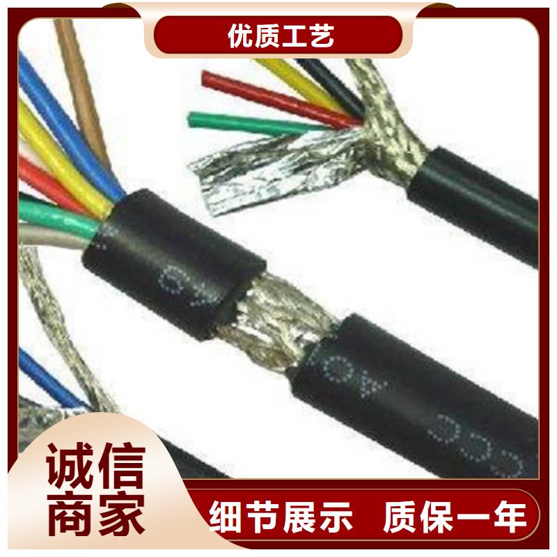 IA-RVVPL2X2X1.5屏蔽电缆批发