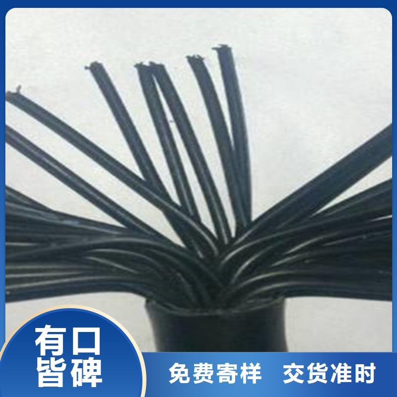软芯电缆FDEHP价格