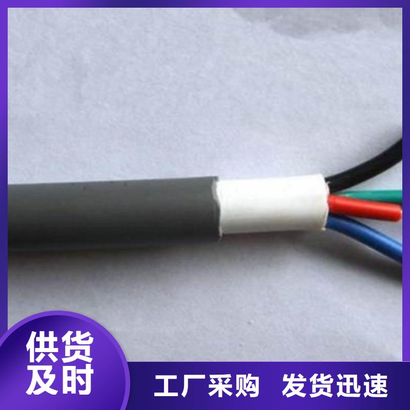 天联牌ZR-CHYVRP821X2X1.0+10X1.0-发货快