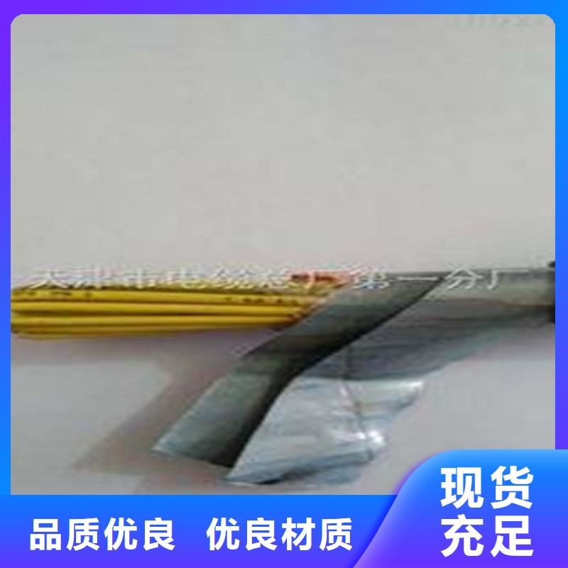WDZ-KYJYRP10X1.0现货定做