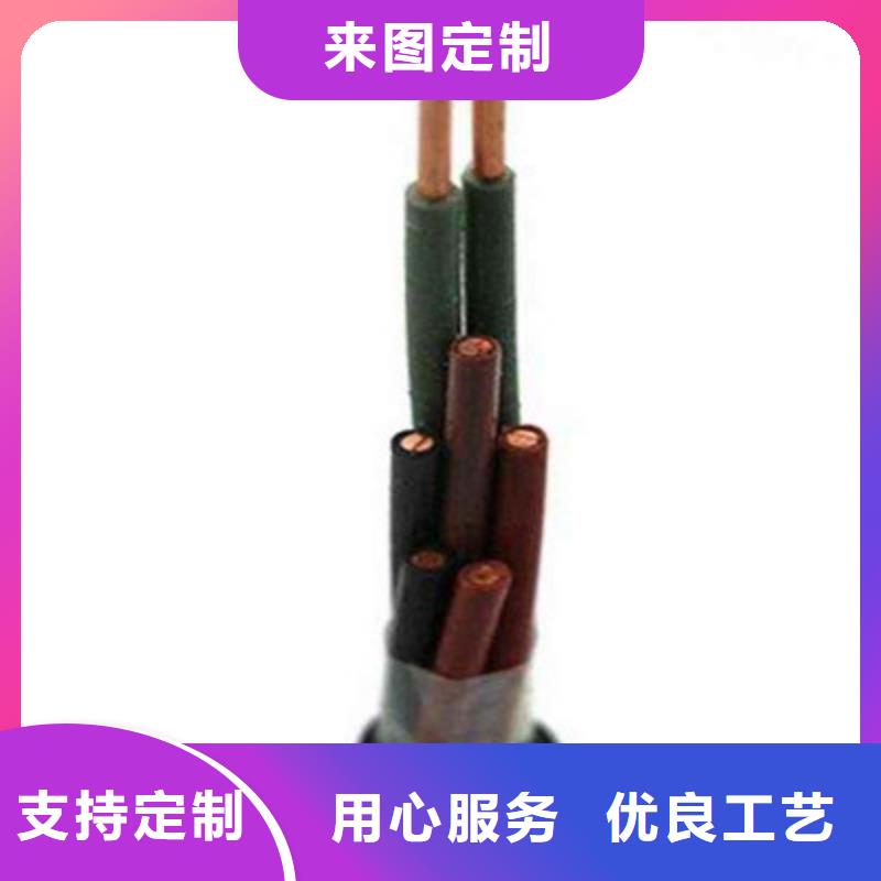 WDZ-KYJYRP10X1.0现货定做