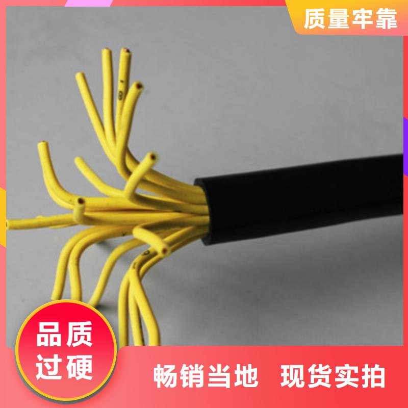 WDZ-KYJYRP10X1.0现货定做