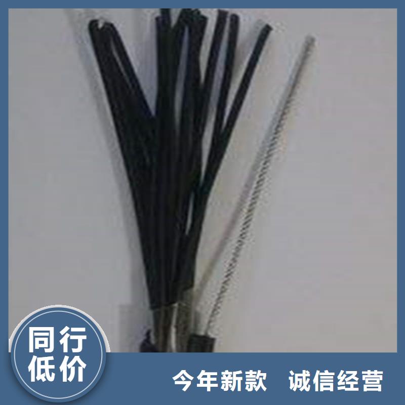 接地线HMVVPE信息