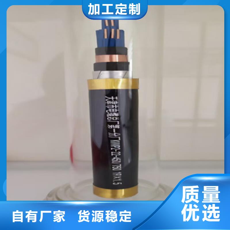 值得信赖的厂价直销ZR-KVV10X1.5批发商