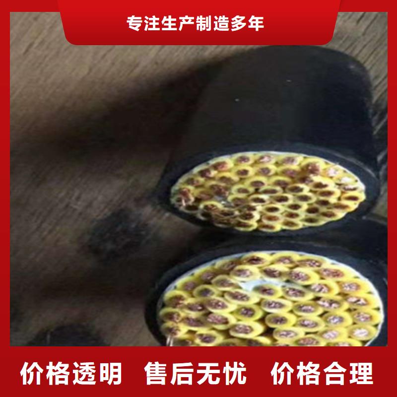 特种电缆_计算机电缆贴心服务