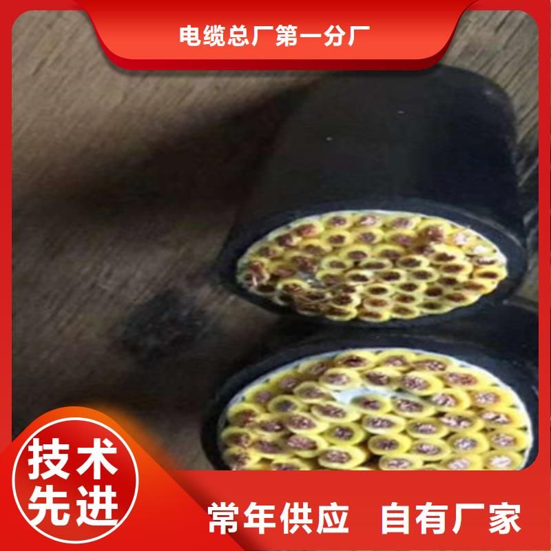 供应SCP2X1屏蔽软芯电缆_厂家
