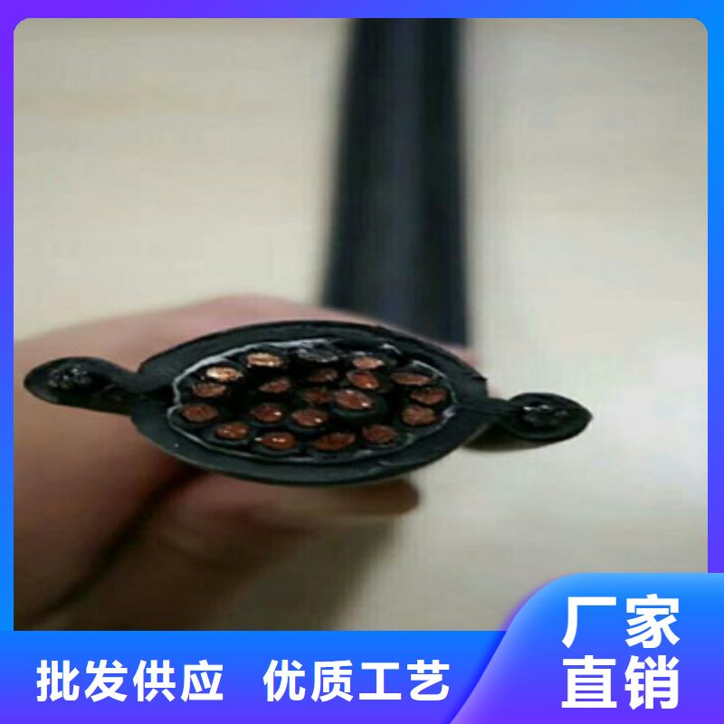 可定制的天联牌PTYAH23线缆6x1.0价格厂家
