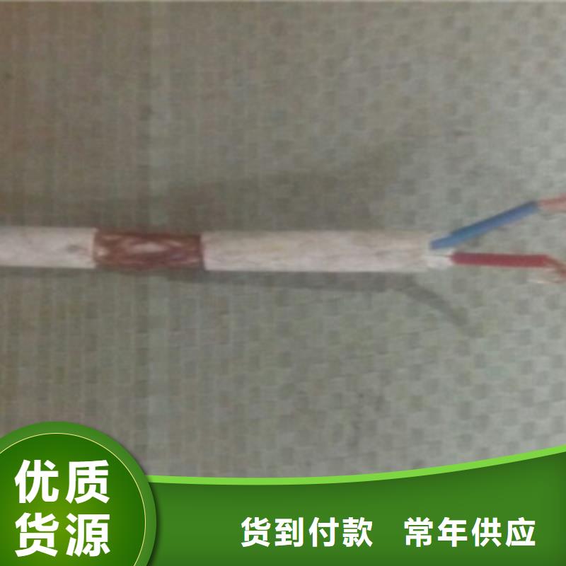 厂家批发WDZN-KYJY-0.6/1KV价格优惠