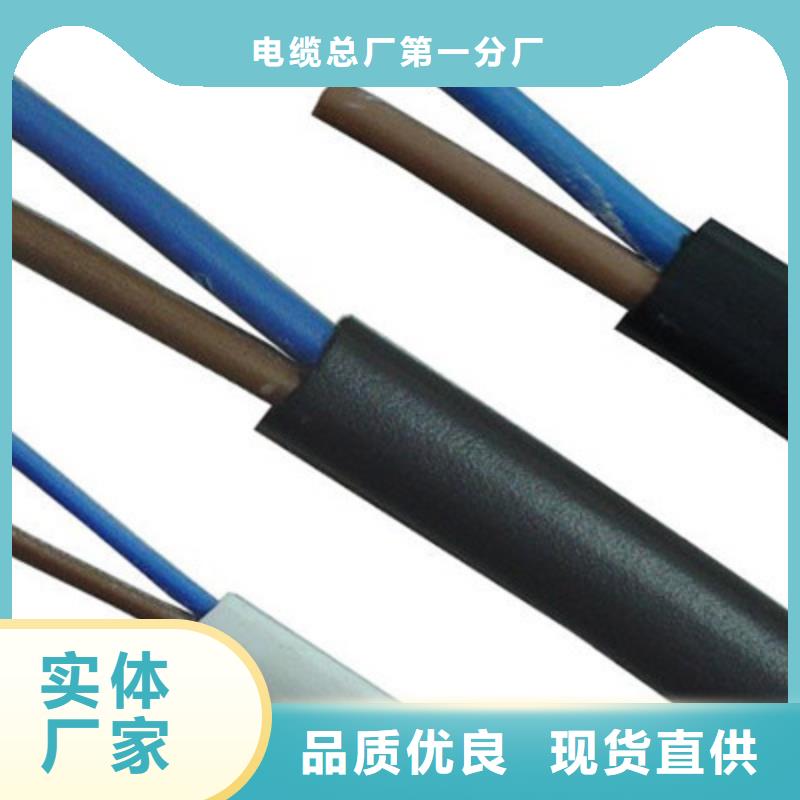 耐高温电缆AFPF质保一年