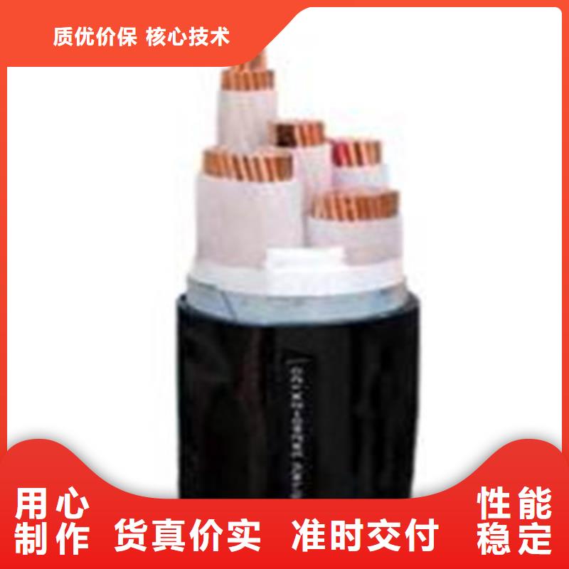 供应铜芯塑料信号电缆2X1.5图片价格_厂家