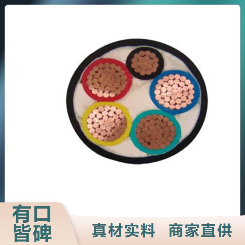 特种电缆_计算机电缆贴心服务