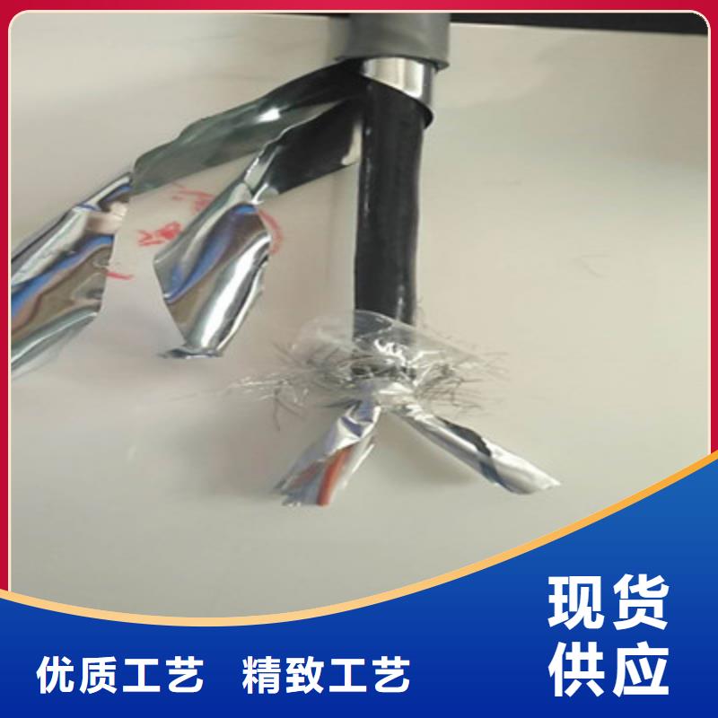 特种电缆_计算机电缆贴心服务
