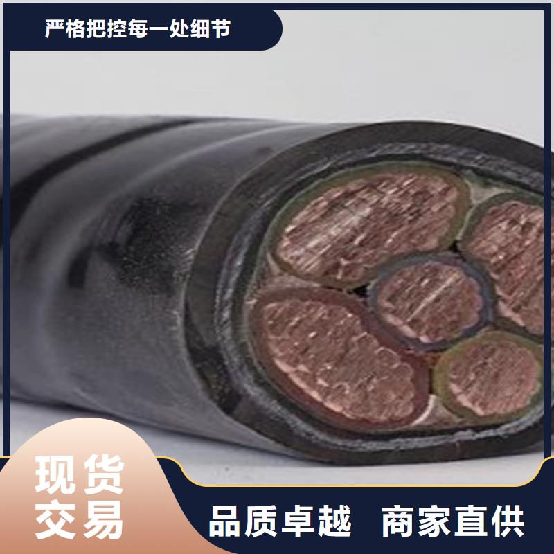 矿用橡套电缆MY-2X10