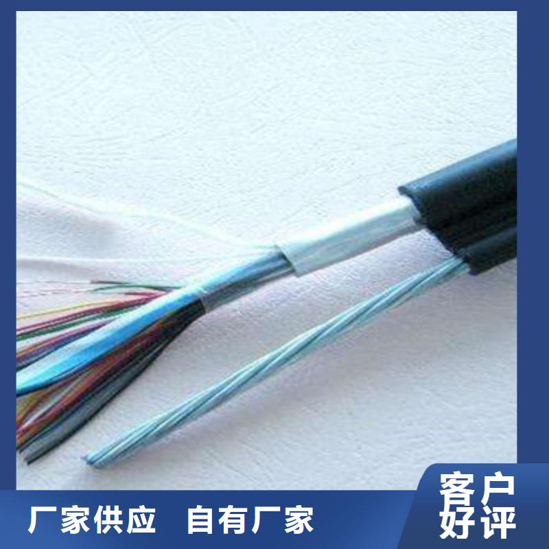 CO-IREV-SX特种屏蔽电缆质量优