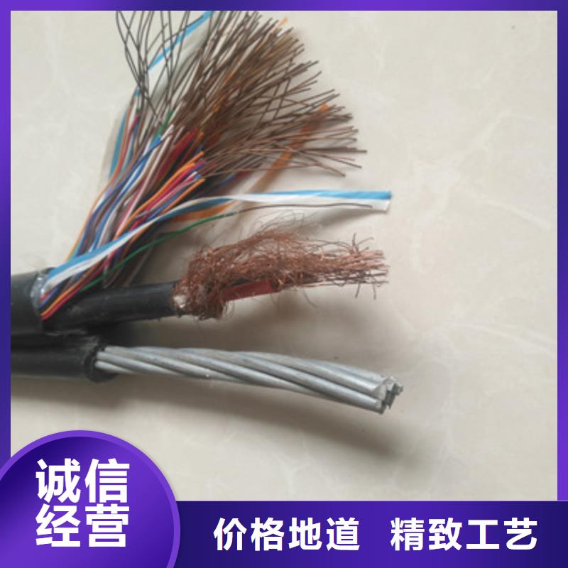 PROFIBUS通讯电缆厂家供应
