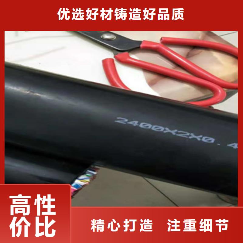 PROFIBUS通讯电缆厂家供应