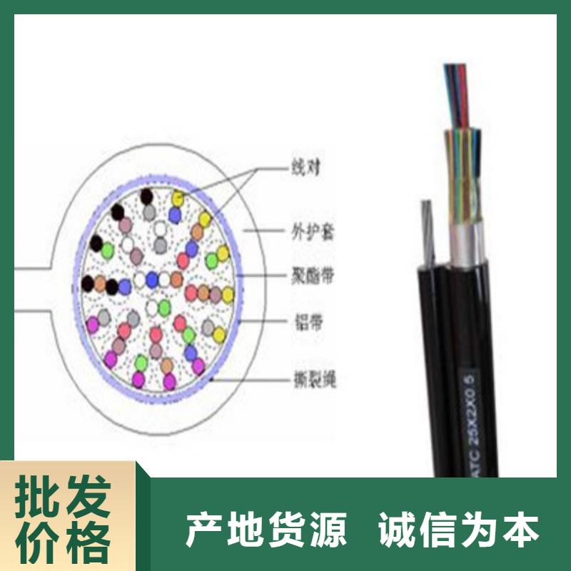 SC002屏蔽通讯电缆口碑好