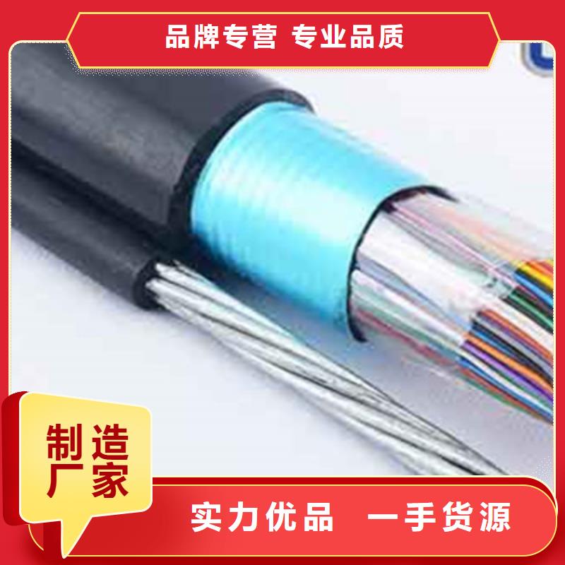 SC002屏蔽通讯电缆口碑好