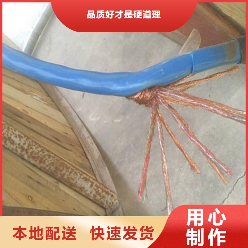实力雄厚的耐火计算机电缆NH-DJVVP3-22供应商