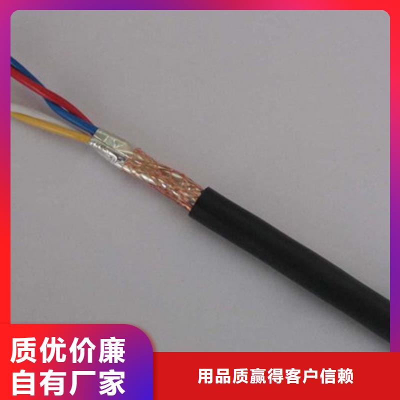 阻燃计算机电缆ZR-DJVVP3-227X2X1.0