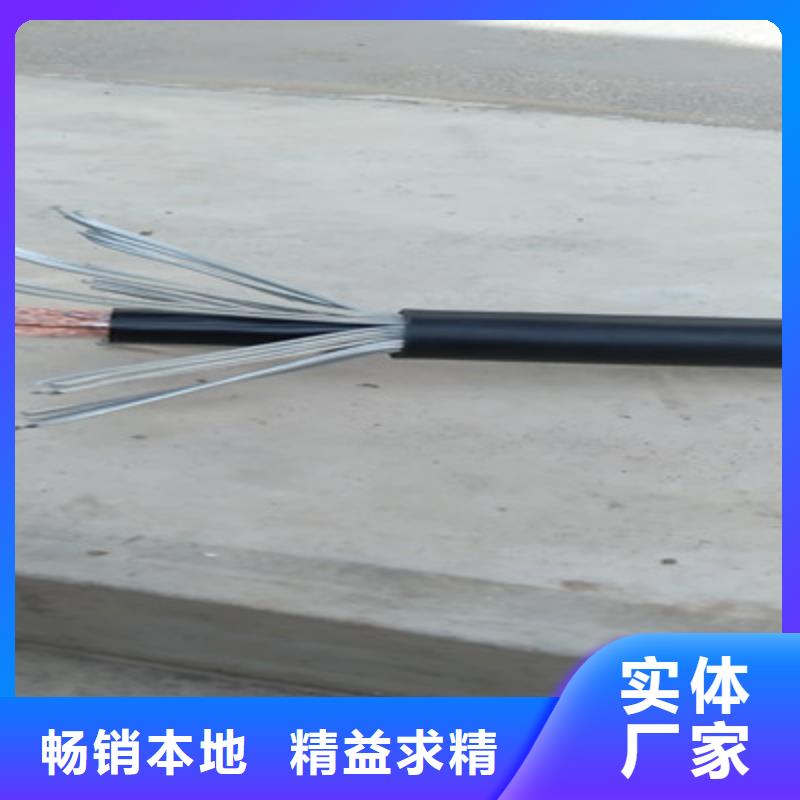 低烟无卤计算机电缆WDZ-DJVPVP2224X2X1.0