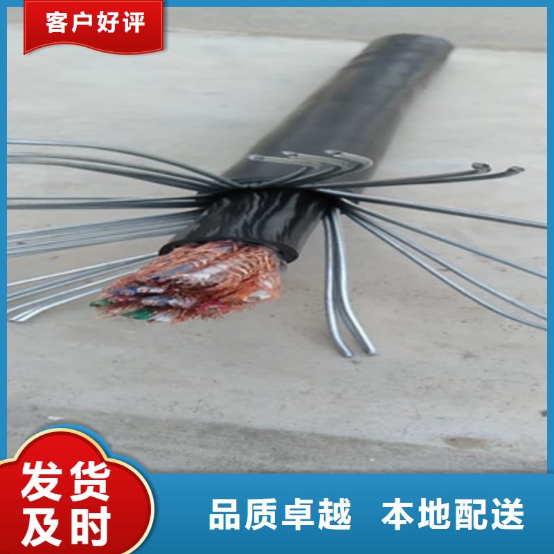 耐火计算机电缆NH-HBIYP2YVZ-III19X2X1.5