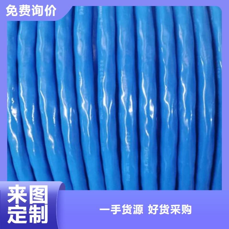 铠装计算机电缆HBIYP2YVZ-III厂家质量过硬