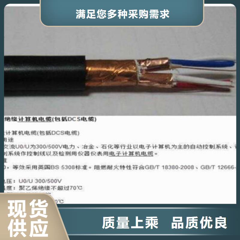 IA-RVVPL屏蔽电缆厂家订制