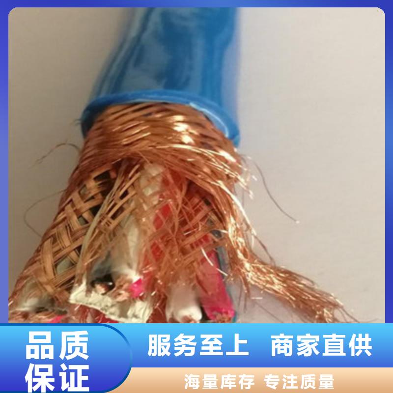 耐火计算机电缆NH-DJVP3V2219X2X2.5
