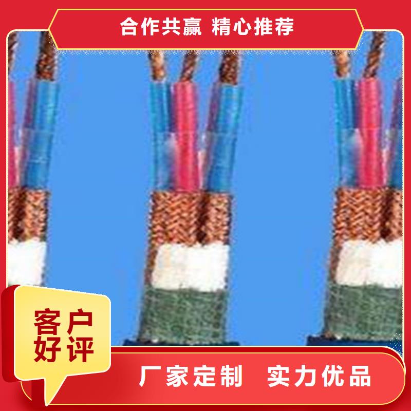 阻燃计算机电缆ZR-DJYPVP-阻燃计算机电缆ZR-DJYPVP放心