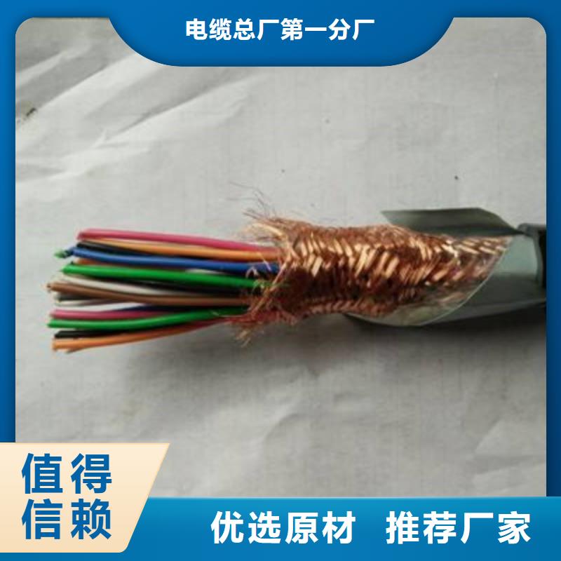 DJYJVP2R铠装计算机电缆-生产厂家
