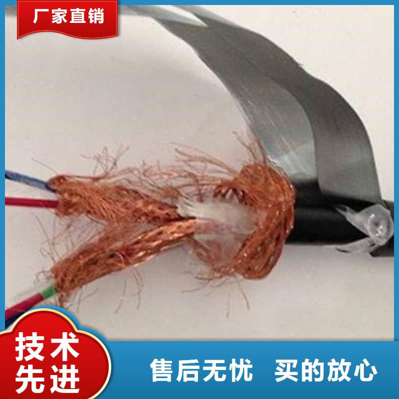 DJYJVP2R铠装计算机电缆-生产厂家